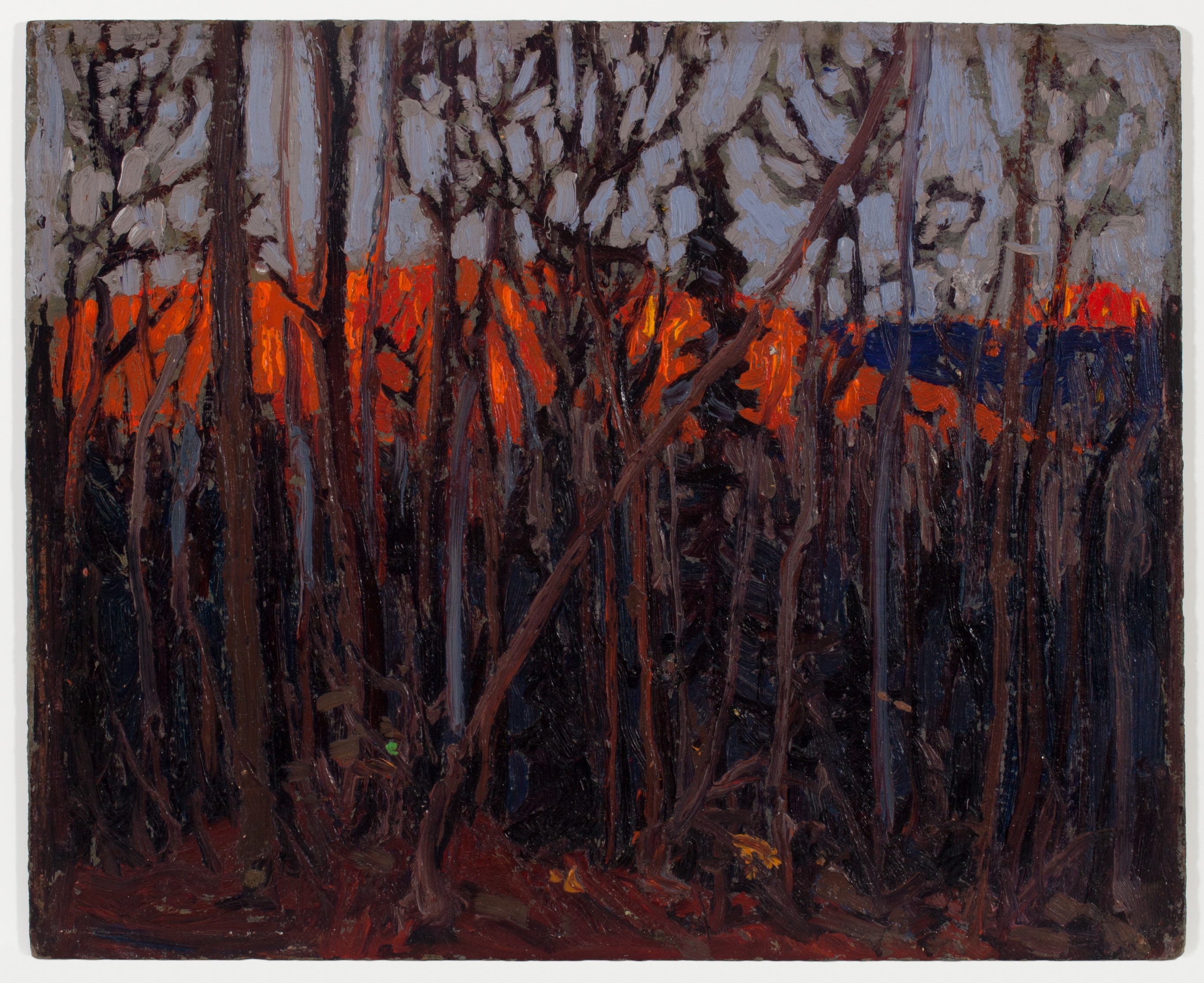 Algonquin Park by Tom Thomson