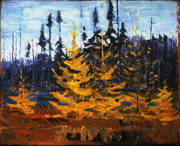 Tamaracks by Tom Thomson