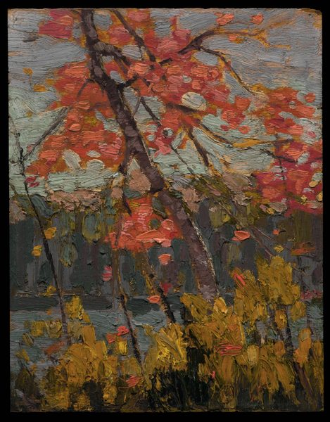Twisted Maple by Tom Thomson