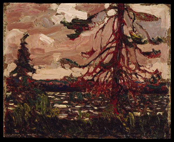 Ragged Pine by Tom Thomson