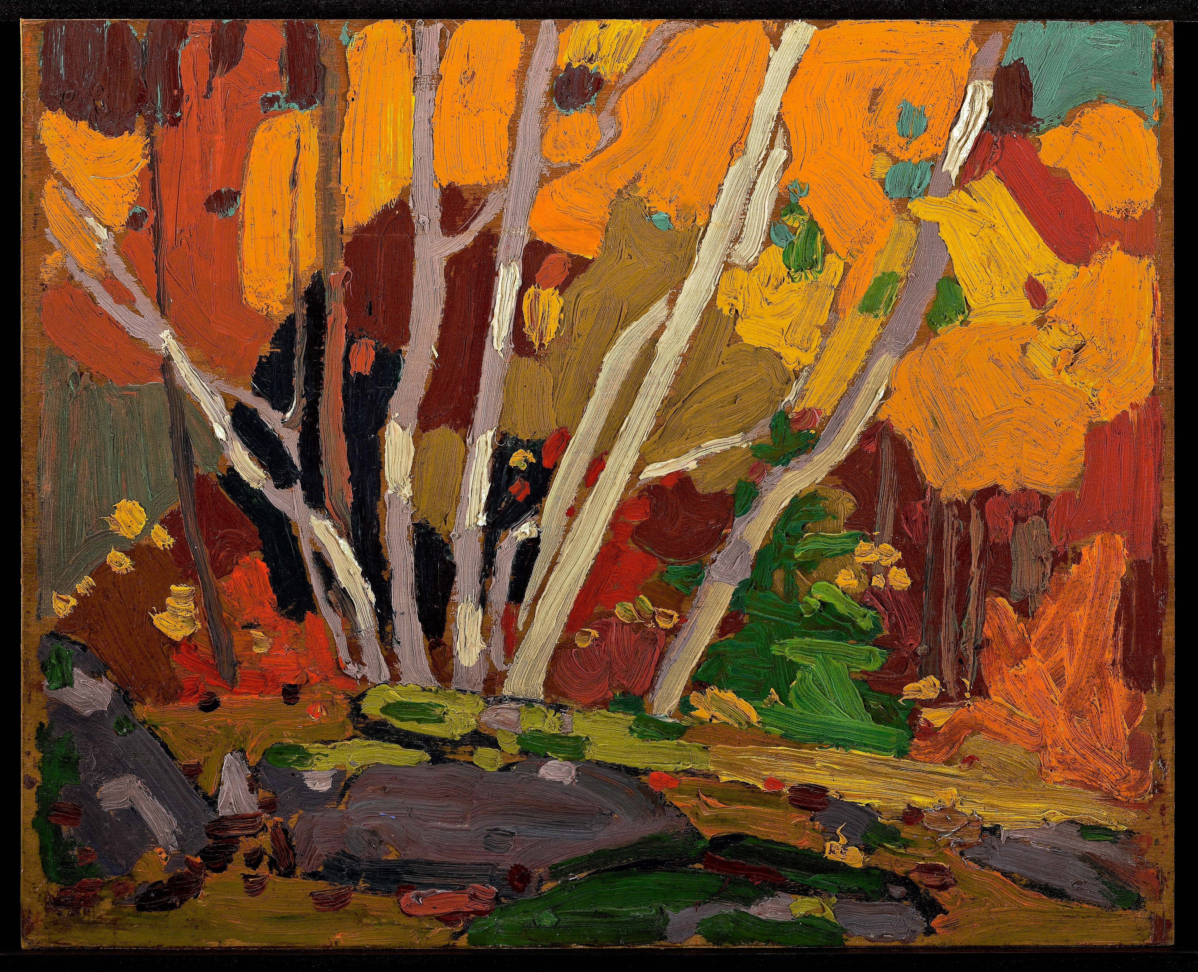 Autumn Birches by Tom Thomson