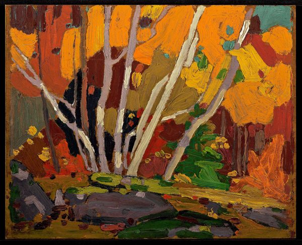 Autumn Birches by Tom Thomson