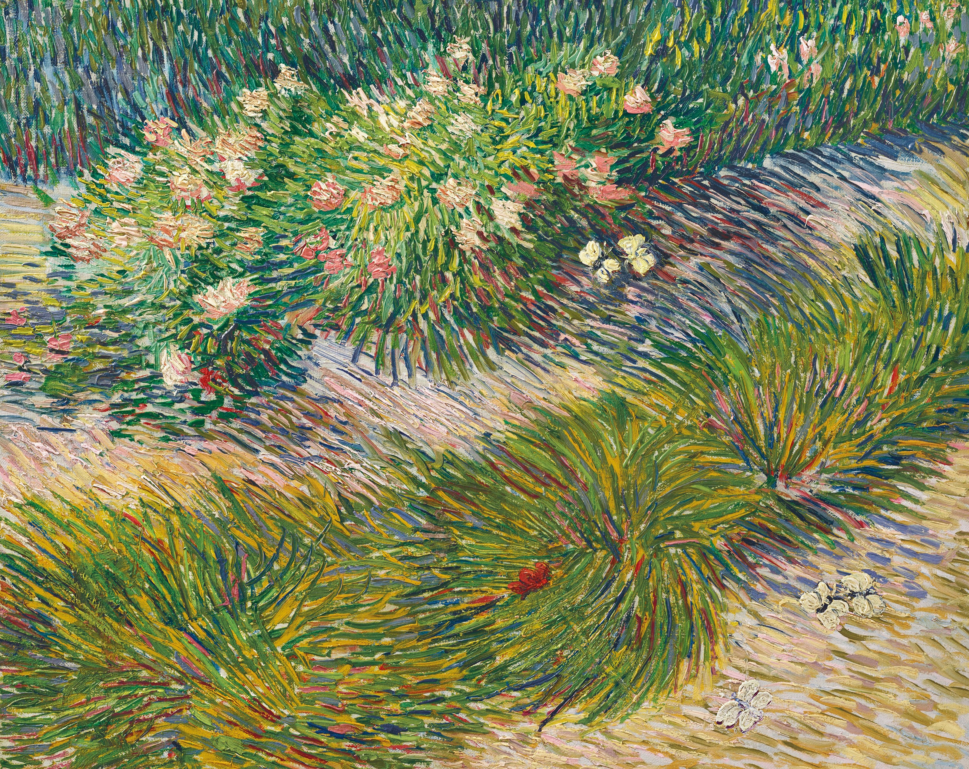 Grass and Butterflies, 1889-04, by Vincent van Gogh