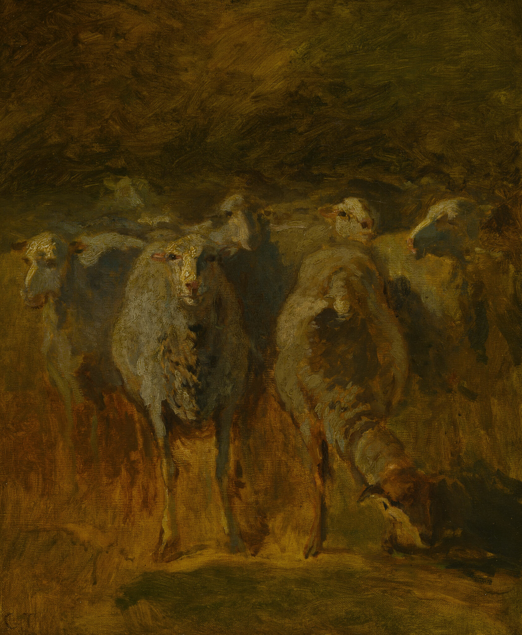 Painting in brown and yellow tones of a flock of sheep at close range, one facing front and looking directly at the viewer.