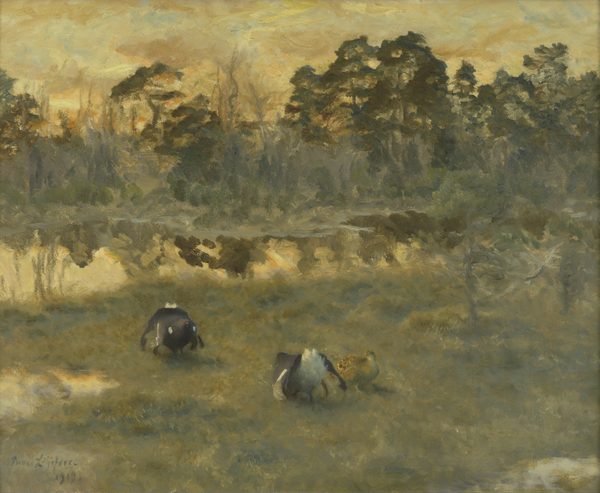 Dutch: Bolderende korhanen met hen by Bruno Liljefors