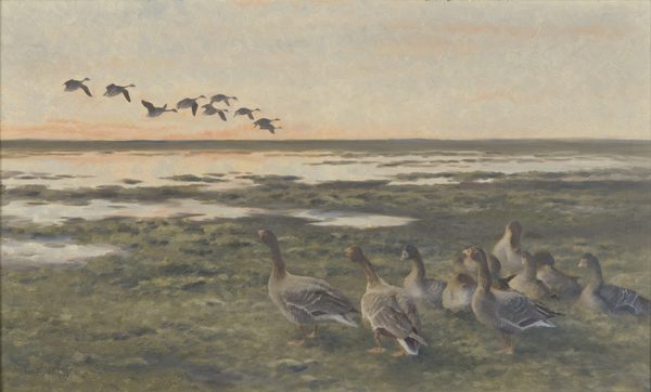 Dutch: Strijkende rietganzen bij zonsondergang by Bruno Liljefors