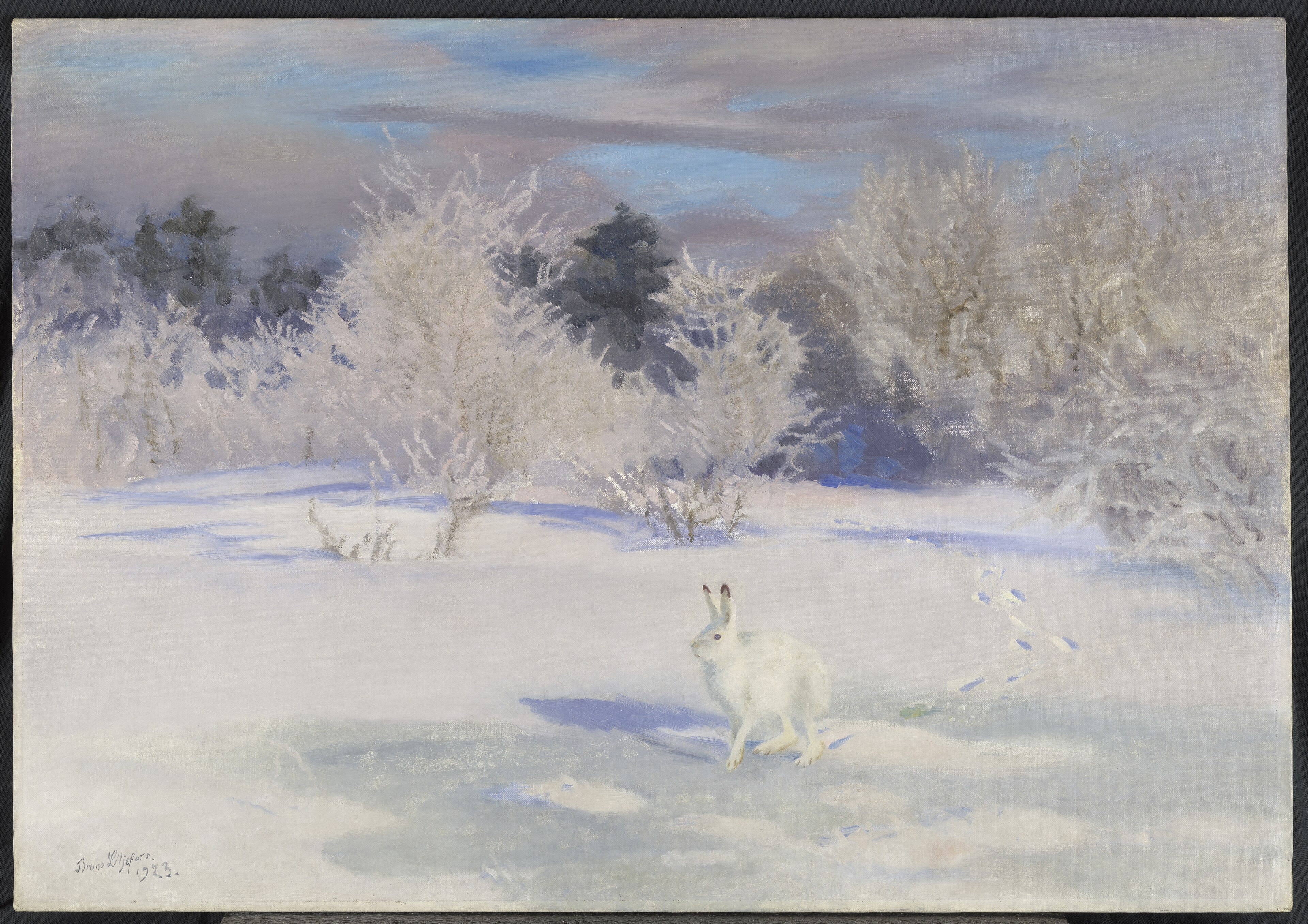 Dutch: Winterlandschap met sneeuwhaas by Bruno Liljefors