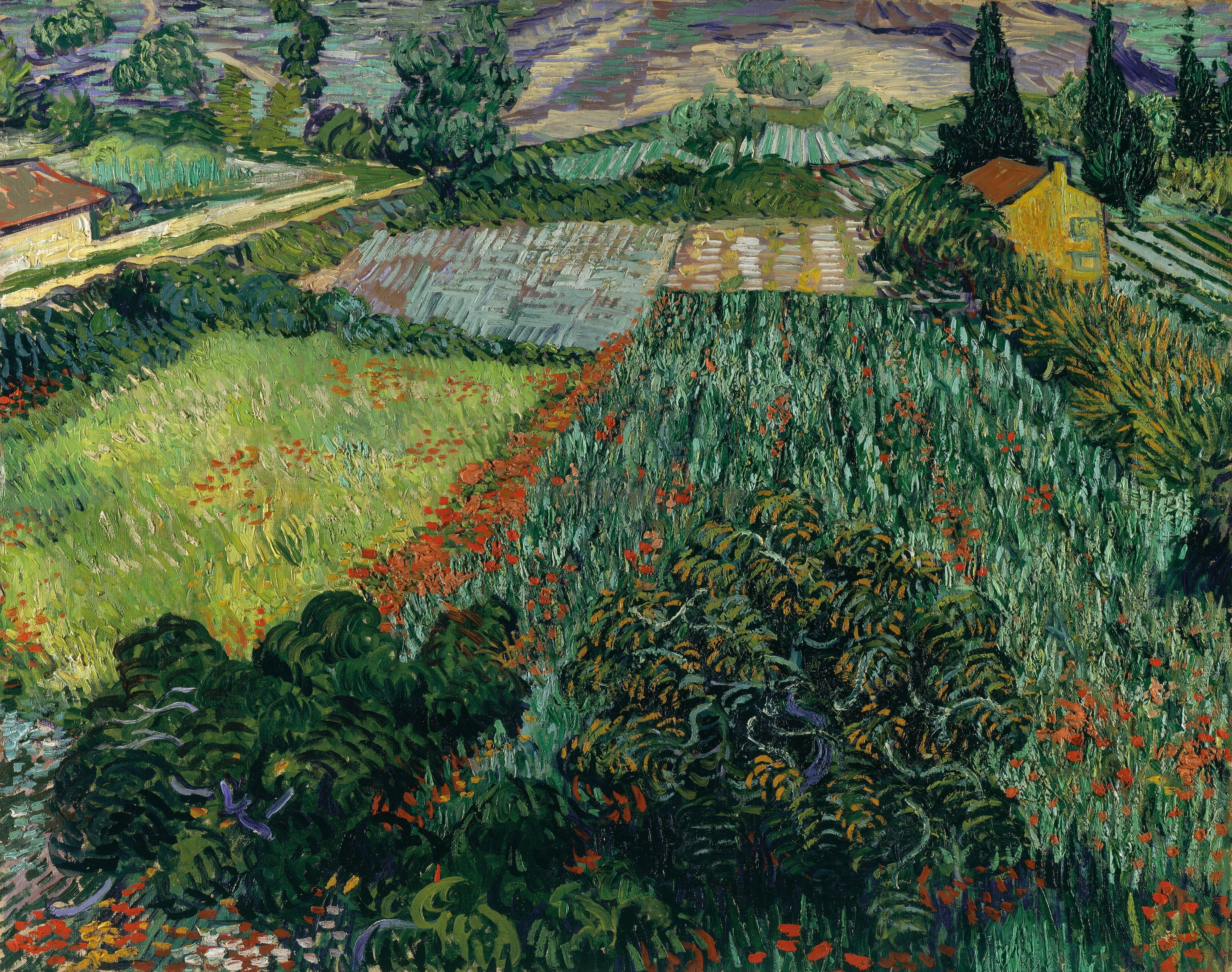 Field with Poppies, 1889-06, by Vincent van Gogh