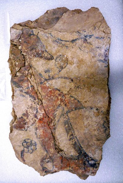 Fragment of a Wall Painting with a Fox or a Dog (and Painted Layers) by anonymous