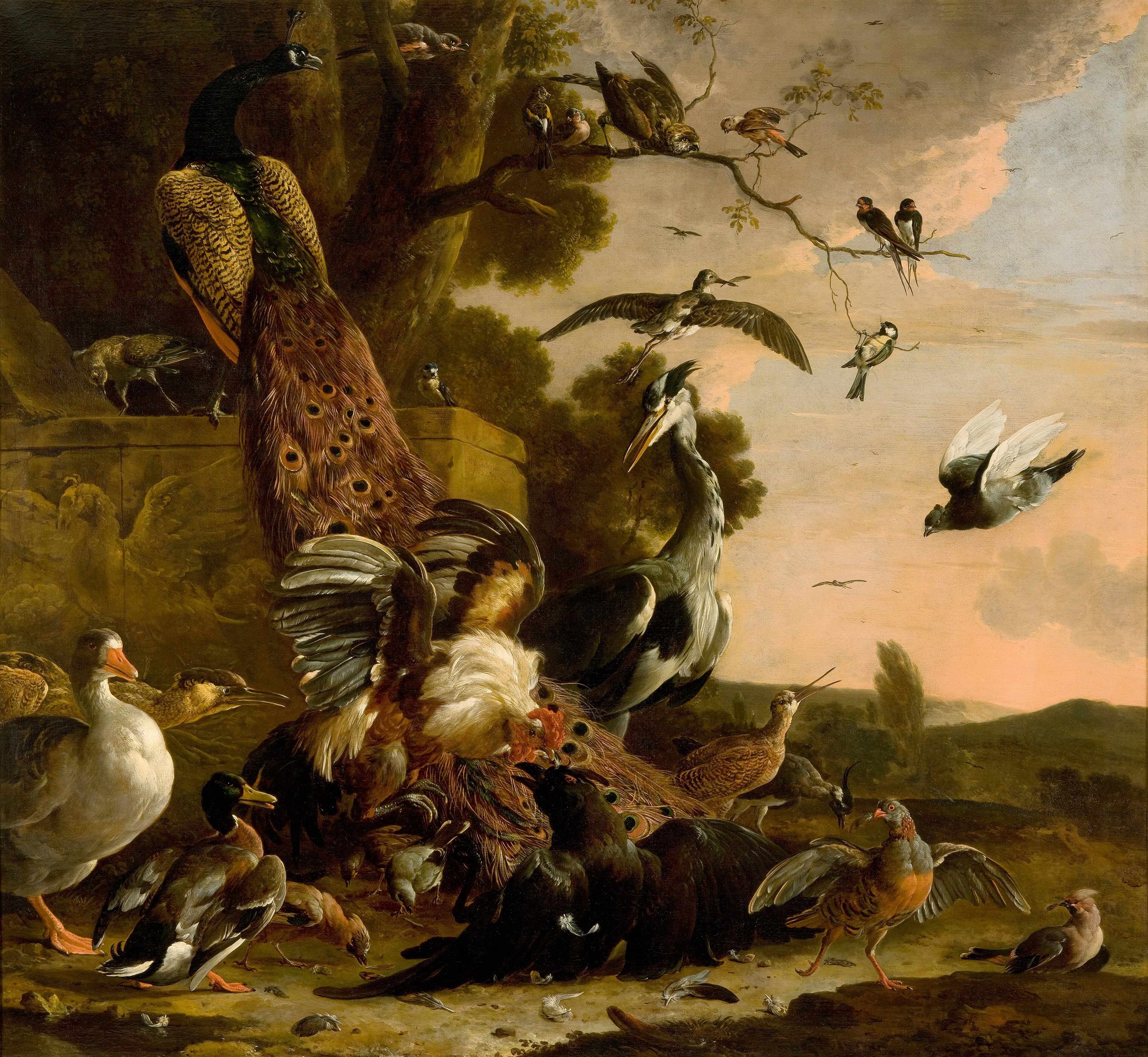 De raaf wordt beroofd van de veren waarmee hij zich had getooid by Melchior d'Hondecoeter