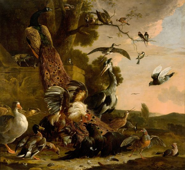 De raaf wordt beroofd van de veren waarmee hij zich had getooid by Melchior d'Hondecoeter